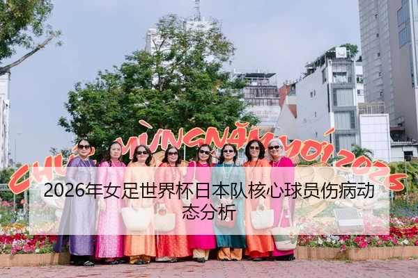 2026年女足世界杯日本队核心球员伤病动态分析