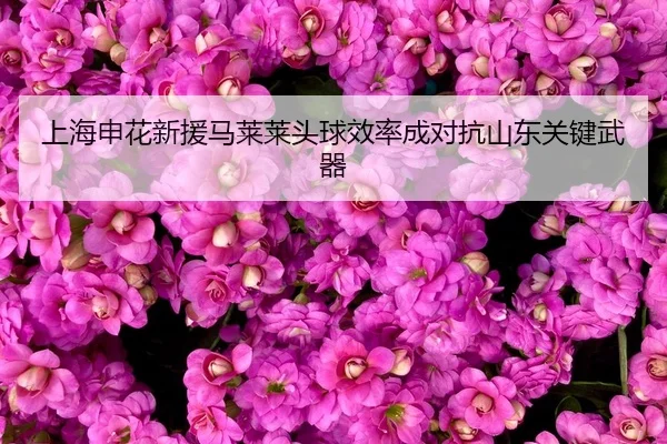 shang-hai-shen-hua-xin-yuan-ma-lai-lai-tou-qiu-xiao-lv-cheng-dui-kang-shan-dong-guan-jian-wu-qi-2-954.jpg