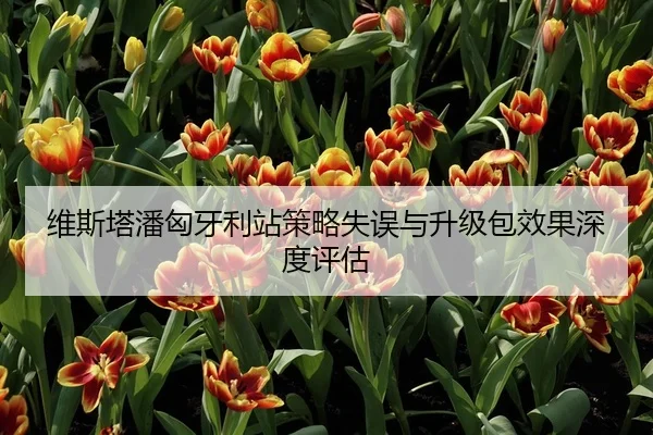 维斯塔潘匈牙利站策略失误与升级包效果深度评估