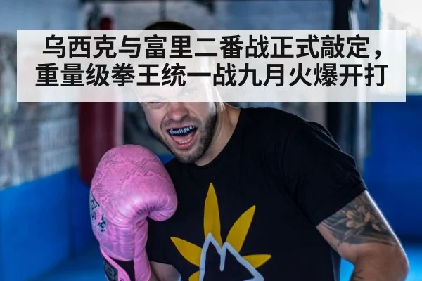 Usyk Fury boxing