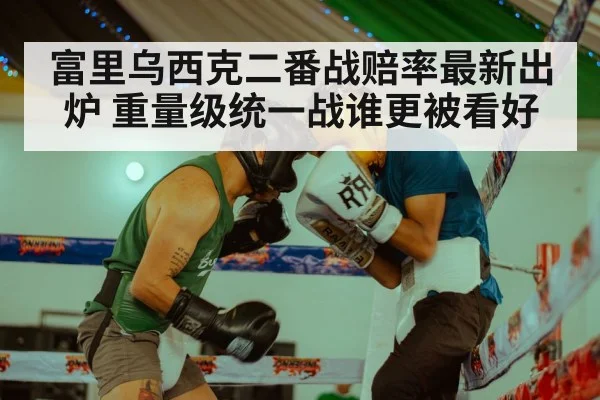 富里乌西克二番战赔率最新出炉 重量级统一战谁更被看好